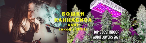 2c-b Богданович